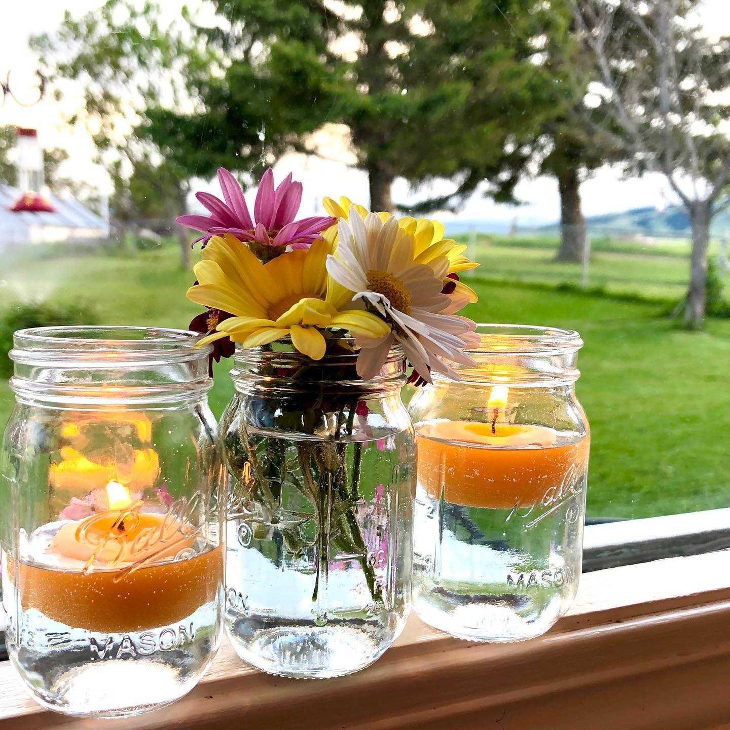 Serenibee tea lights