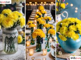 yellow carnation