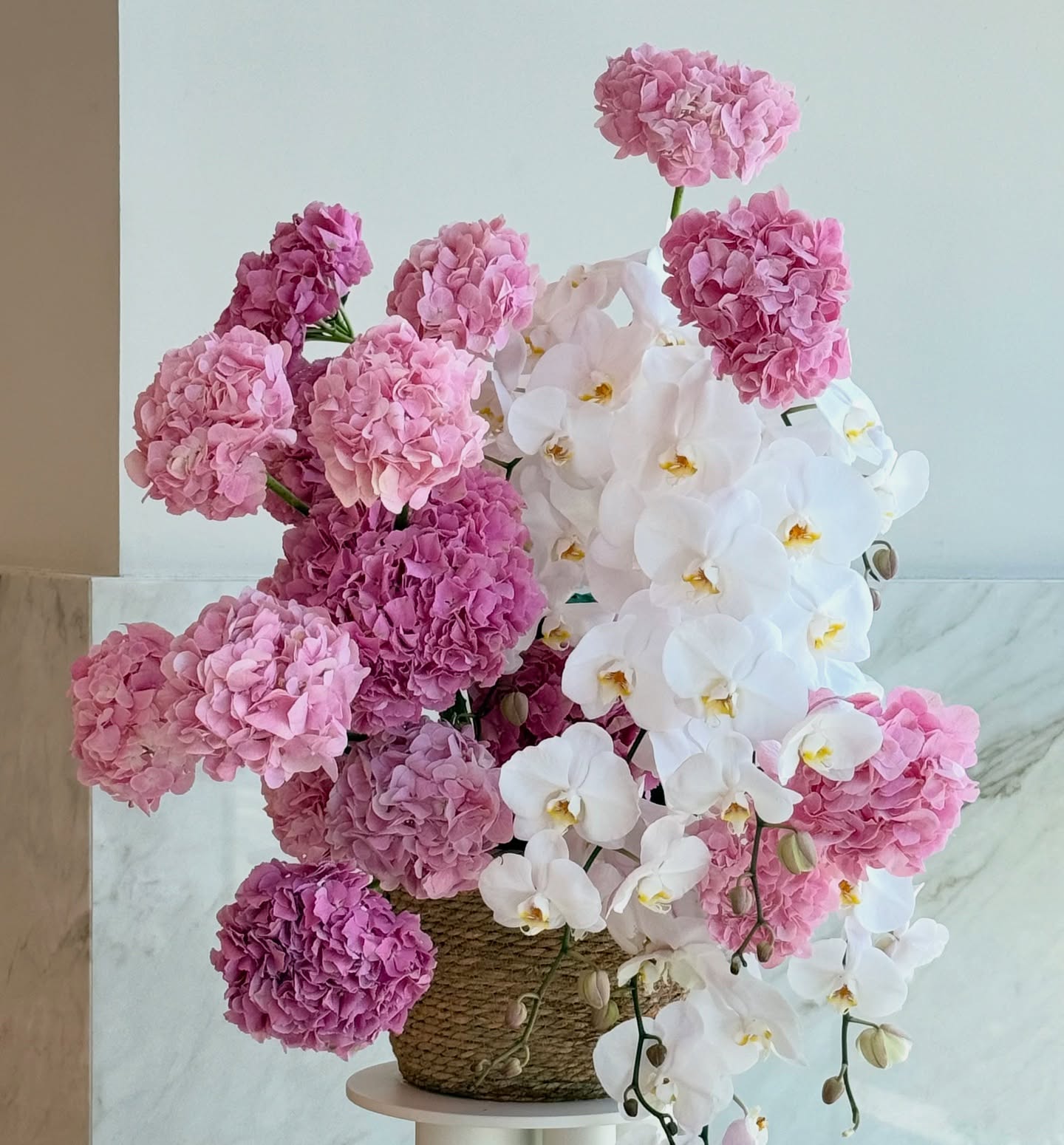pink flowers and orchids