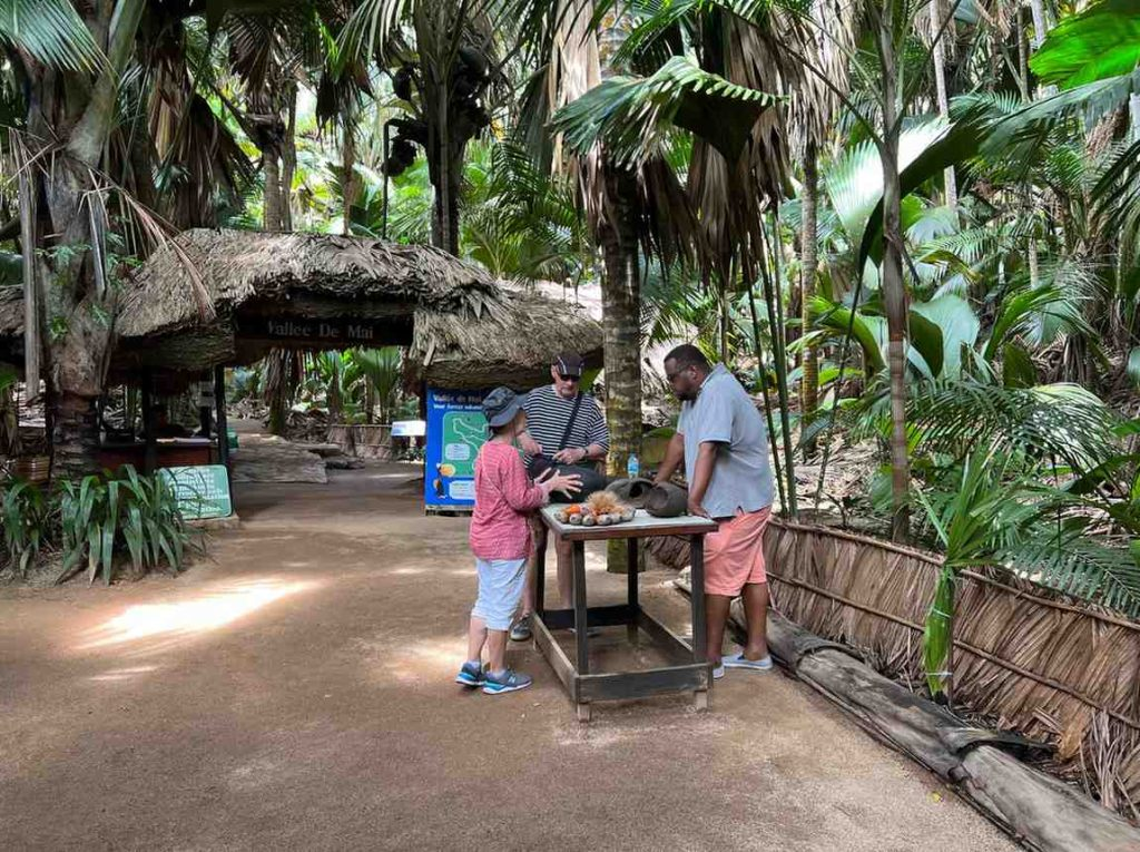 Visit Vallée de Mai Nature Reserve