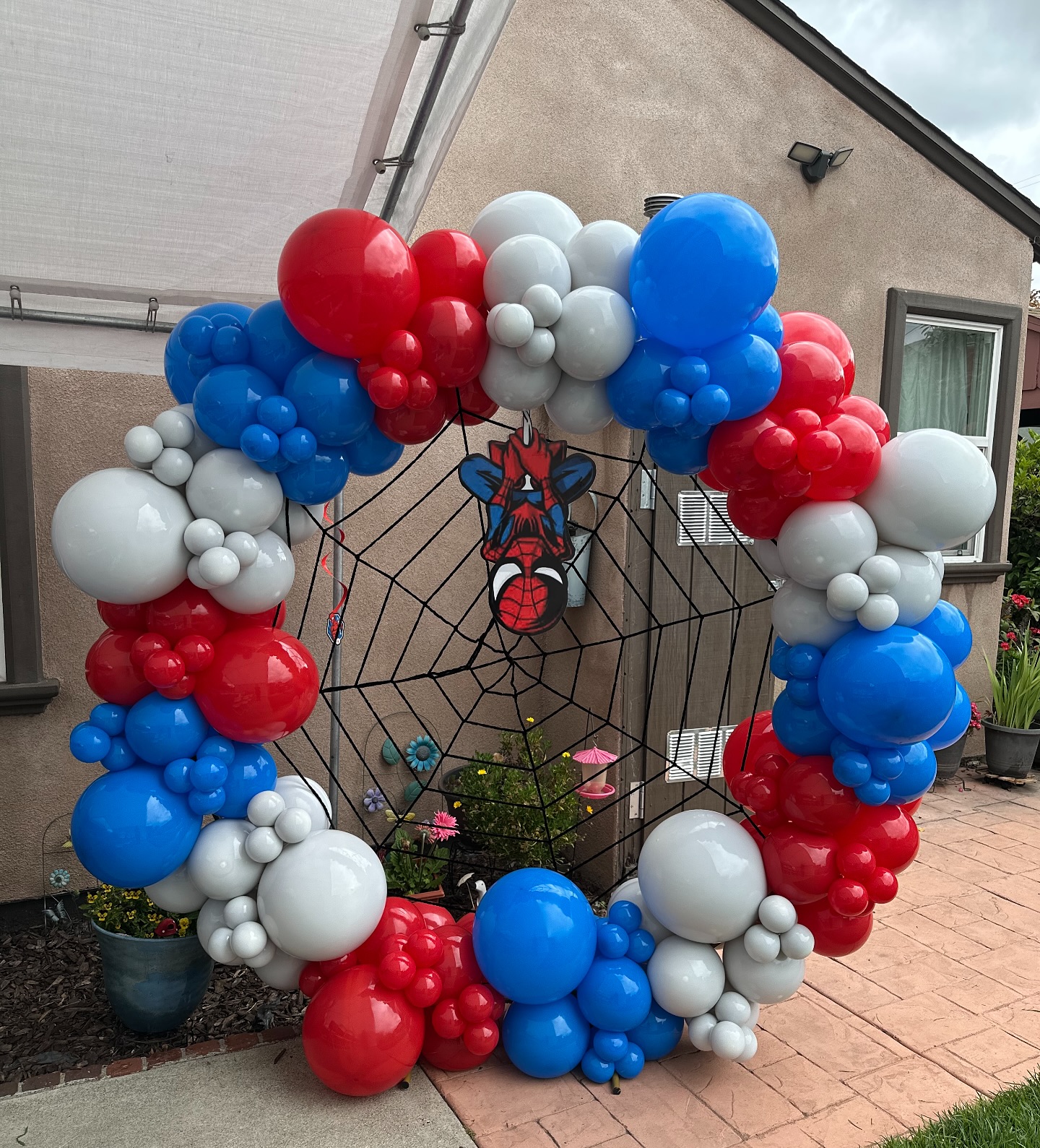Spider-Man Webbing Wall Nets