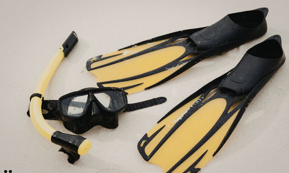 Basic Snorkel Gear