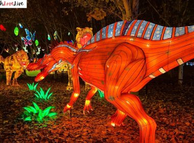 Dino Theme Birthday Party Decor