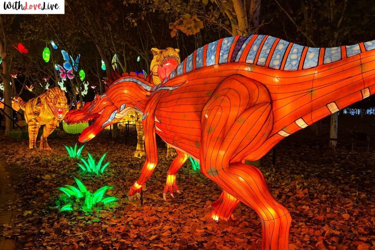 Dino Theme Birthday Party Decor