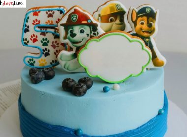 Paw Patrol Cake Ideas for Kids