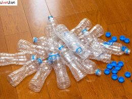 Plastic Bottle Flower Craft Ideas