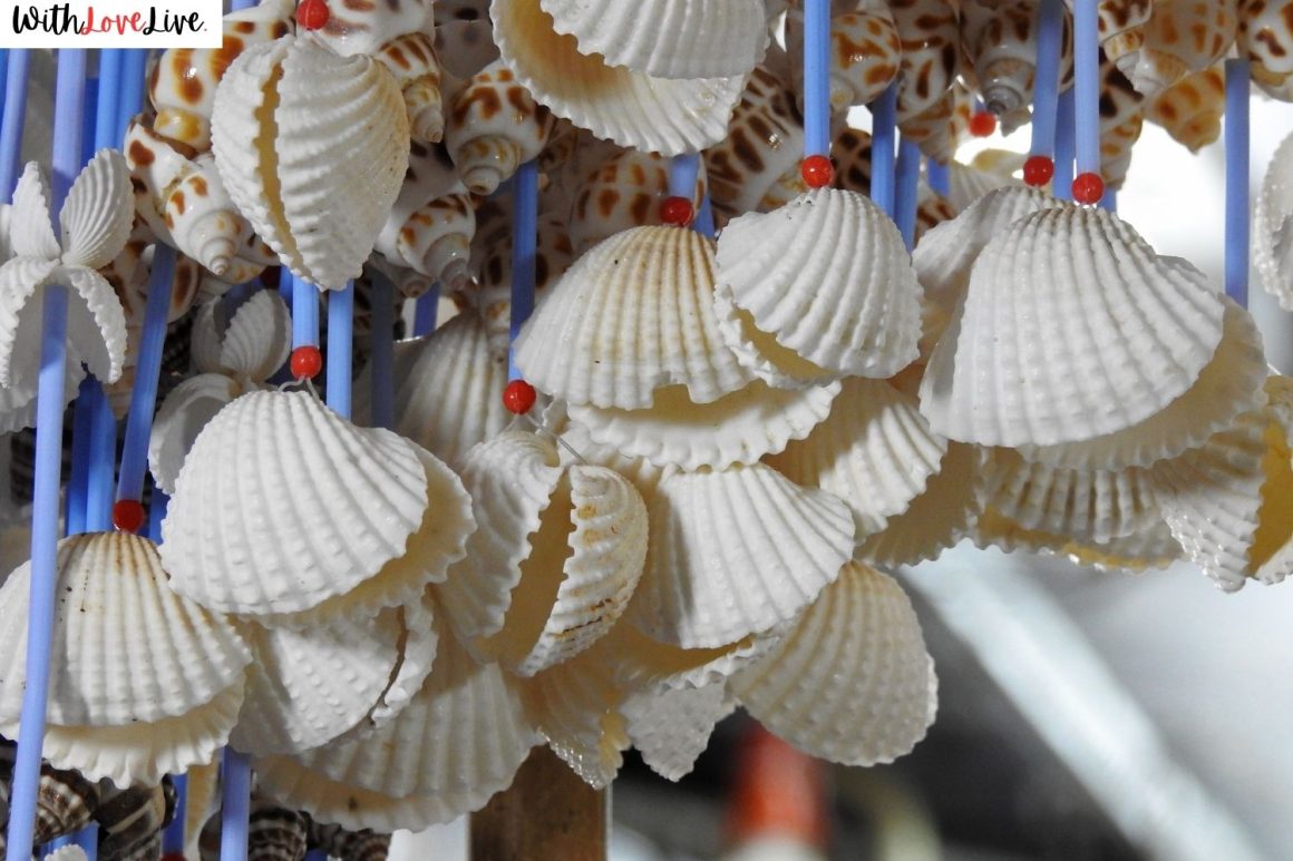 Seashell Bachelorette Party Ideas