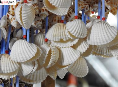 Seashell Bachelorette Party Ideas
