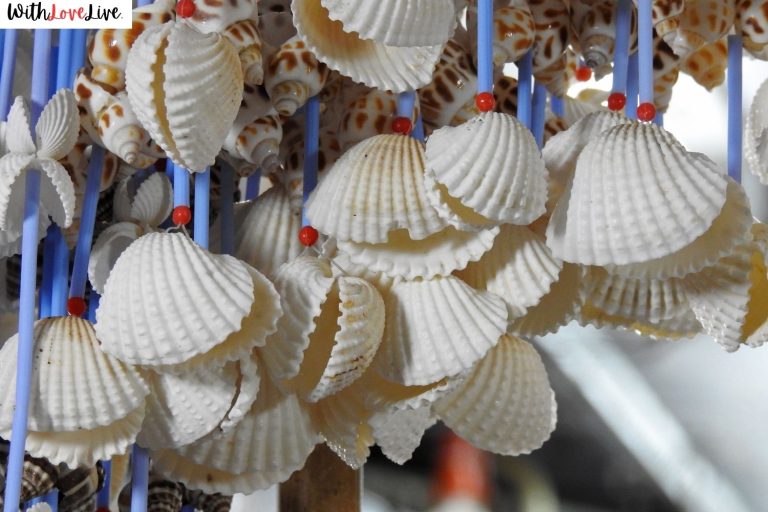 Seashell Bachelorette Party Ideas