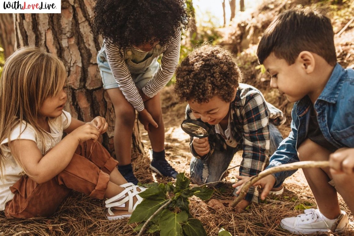 Nature Crafts For Preschool