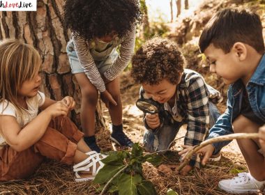 Nature Crafts For Preschool