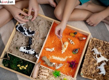 Pet Crafts for Preschool Kids
