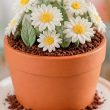 Cute Flower Pot Cake Ideas
