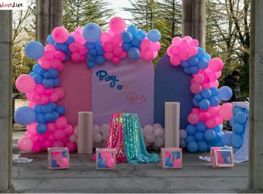 Winnie the Pooh Gender Reveal Ideas
